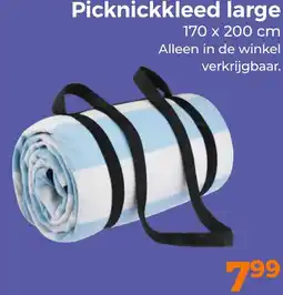 Trekpleister Picknickkleed large aanbieding