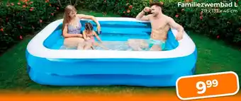 Trekpleister Familiezwembad L aanbieding