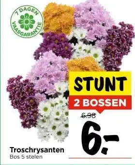 Vomar Voordeelmarkt Troschrysanten aanbieding