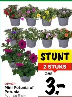 Vomar Voordeelmarkt Mini Petunia of Petunia aanbieding