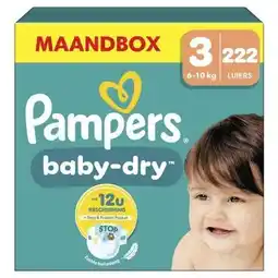 Wehkamp Pampers Baby-Dry Maat 3 maandbox - 222 luiers - 6kg-10kg aanbieding