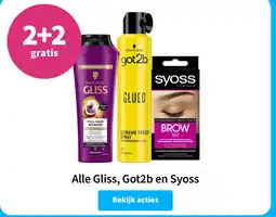 Plein.nl Alle Gliss, Got2b en Syoss aanbieding