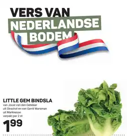 Ekoplaza Little gem bindsla aanbieding