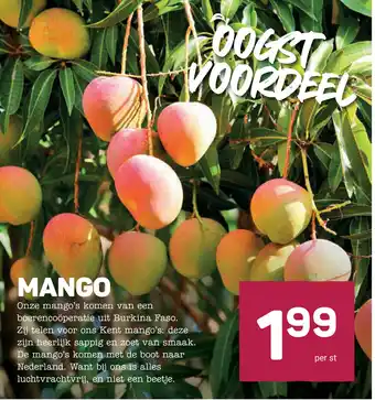 Ekoplaza Mango aanbieding