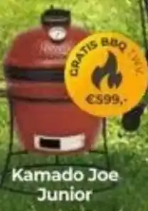 EP Beerepoot Kamado Joe Junior aanbieding