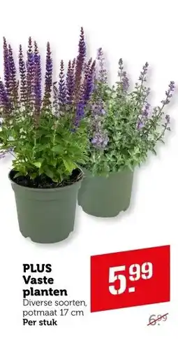 Coop PLUS Vaste planten aanbieding