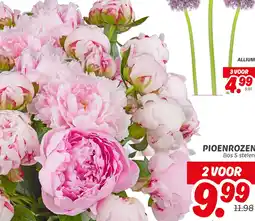 Dekamarkt Pioenrozen aanbieding