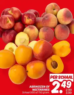Dekamarkt Abrikozen of nectarines aanbieding