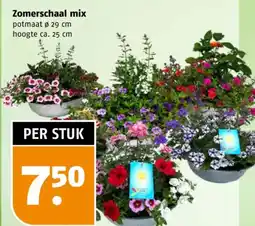 Poiesz Zomerschaal mix aanbieding