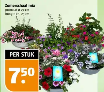 Poiesz Zomerschaal mix aanbieding