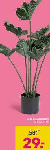 Xenos Lotus kunstplant aanbieding