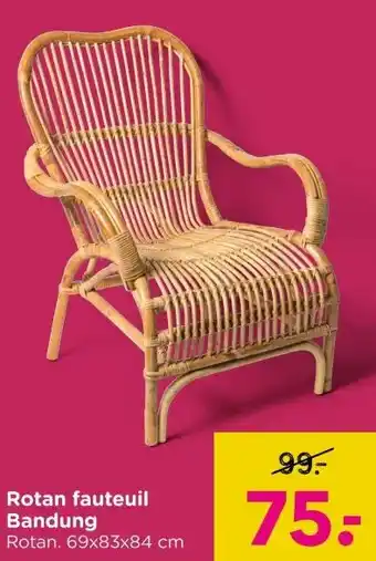 Xenos Rotan fauteuil Bandung aanbieding