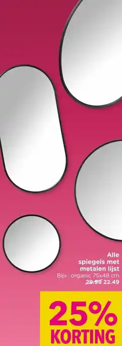 Xenos Alle spiegels met metalen lijst aanbieding