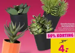 Xenos Geselecteerde kunstplantjes aanbieding