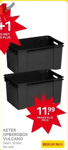 Praxis KETER OPBERGBOX VULCANO aanbieding