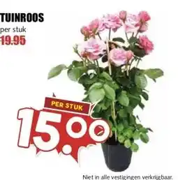 MCD Supermarkt TUINROOS aanbieding
