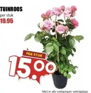 MCD Supermarkt TUINROOS aanbieding