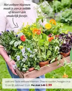 Intratuin Look and Taste eetbare bloemen. aanbieding