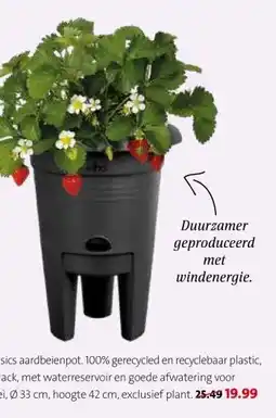 Intratuin Elho Green Basics aardbeienpot. aanbieding