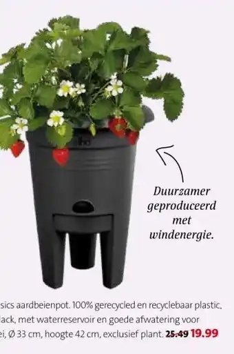 Intratuin Elho Green Basics aardbeienpot. aanbieding