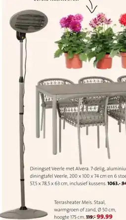 Intratuin Terrasheater Meis. aanbieding
