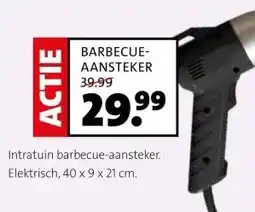 Intratuin BARBECUE- AANSTEKER aanbieding