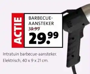 Intratuin BARBECUE- AANSTEKER aanbieding