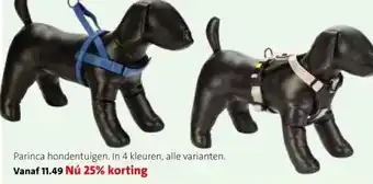 Intratuin Parinca hondentuigen. aanbieding
