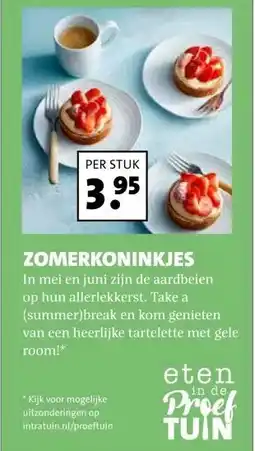 Intratuin ZOMERKONINKJES aanbieding
