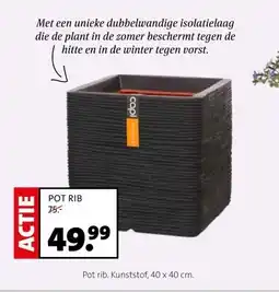 Intratuin POT RIB aanbieding