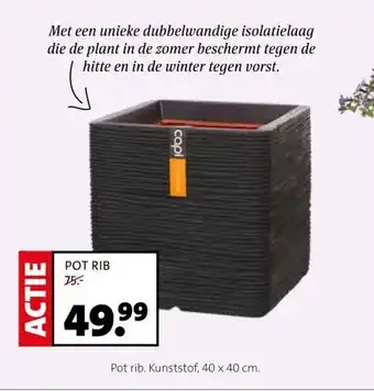 Intratuin POT RIB aanbieding