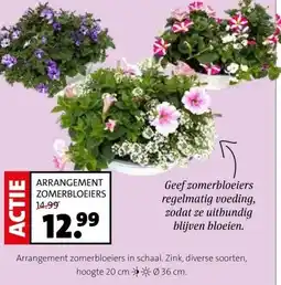 Intratuin ARRANGEMENT ZOMERBLOEIERS aanbieding