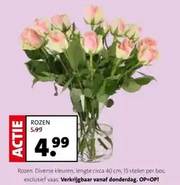 Intratuin ROZEN aanbieding
