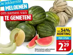 Hoogvliet Watermeloen, galia meloen of cantaloupe meloen aanbieding