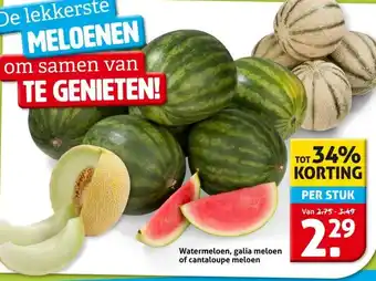 Hoogvliet Watermeloen, galia meloen of cantaloupe meloen aanbieding