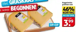 Hoogvliet Koggelandse graskaas stuk aanbieding