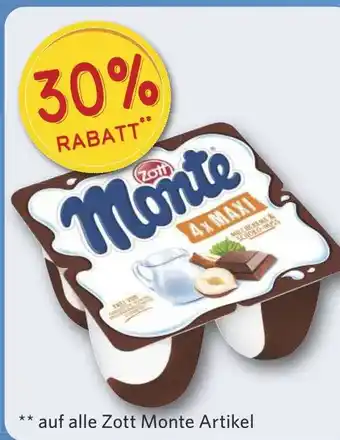 Combi 30% RABATT Monte aanbieding