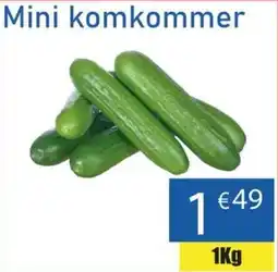 Tanger Markt Mini komkommer aanbieding