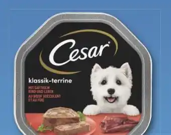Combi Cesar Nassfutter aanbieding