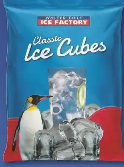 Combi Ice Factory Classic Ice Cubes aanbieding