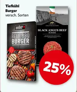 Combi Tiefkühl Burger aanbieding