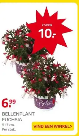 Praxis BELLENPLANT FUCHSIA aanbieding