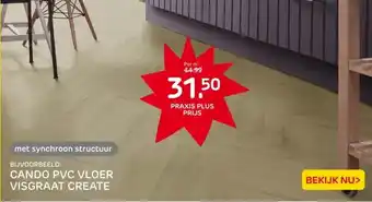 Praxis CANDO PVC VLOER VISGRAAT CREATE aanbieding