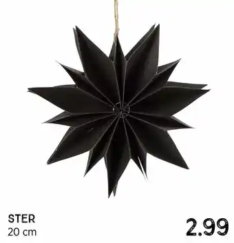 Xenos Ster 20 cm aanbieding