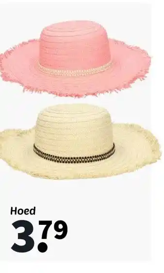 Wibra Hoed aanbieding