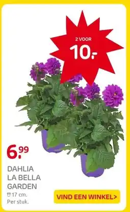 Praxis DAHLIA LA BELLA GARDEN aanbieding