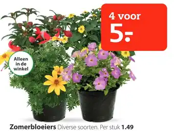 Pets Place Zomerbloeiers aanbieding