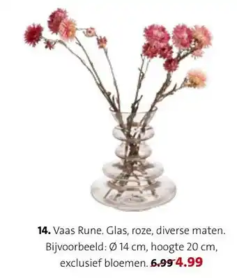 Intratuin Vaas rune aanbieding