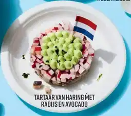 Albert Heijn Tartaar van haring met radijs en avocado aanbieding