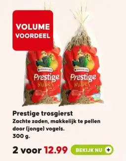 Pets Place Prestige trosgierst aanbieding